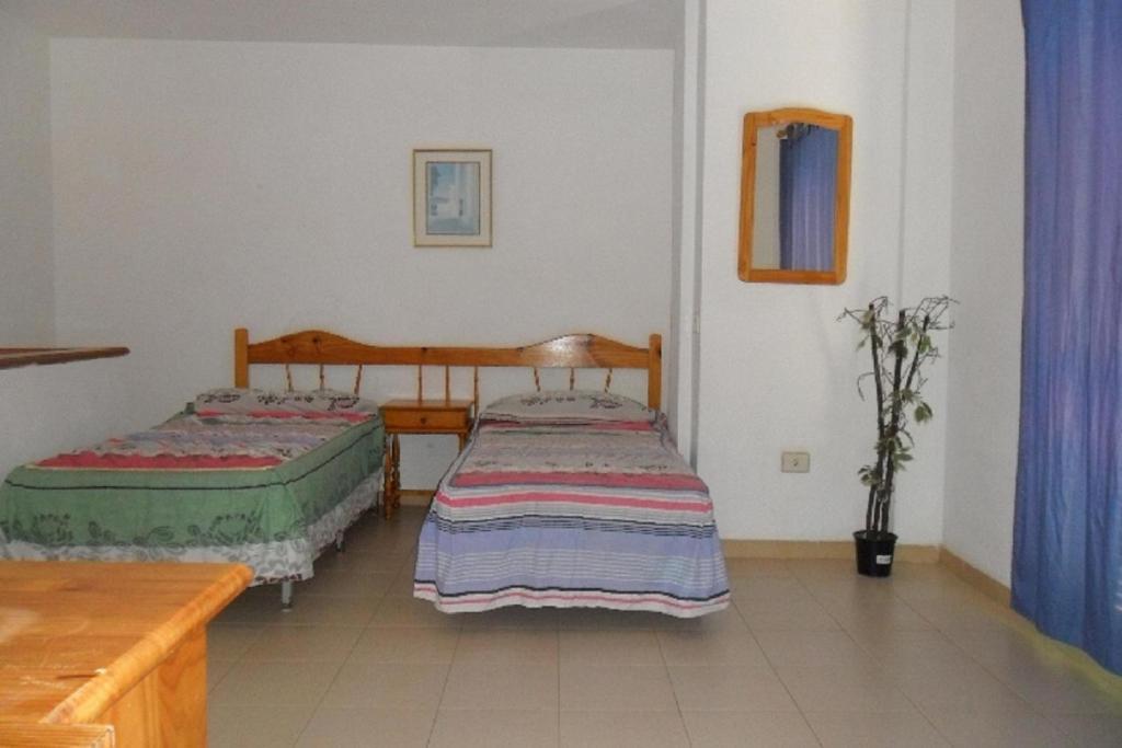 Apartamentos Alondras Park Costa Del Silencio Extérieur photo